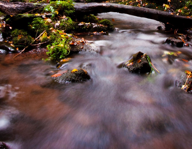 1690293015557146.jpg 145.jpg