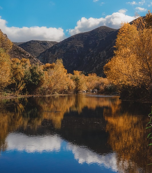 1690984471511085.jpg 26.jpg