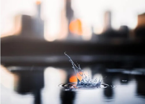 1691069538731738.jpg 14.jpg