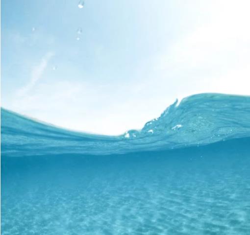 1691157672356663.jpg 24.jpg