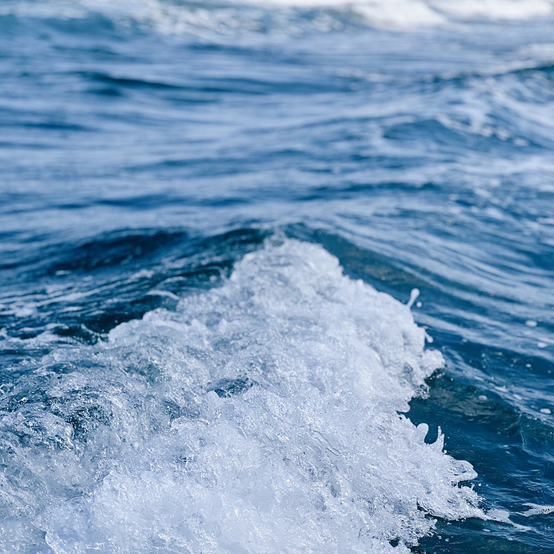 1691587553513551.jpg 41.jpg