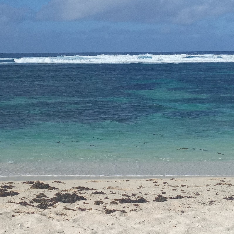 1691667184825279.jpg 42.jpg