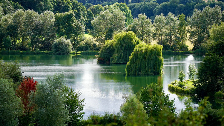 1693616719611150.jpeg 1668071946131319.jpeg