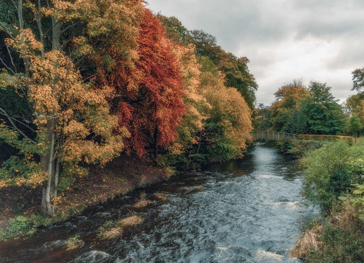 1695775650406389.jpeg 河流7.jpeg