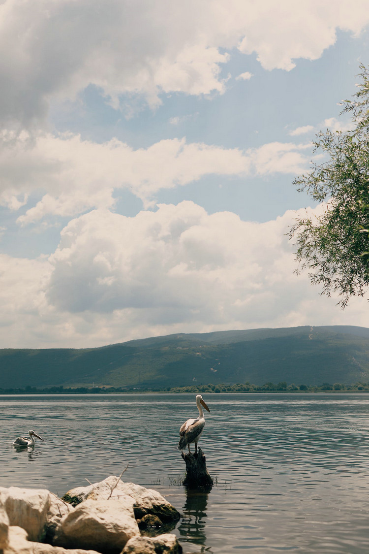 1697086945327078.jpeg 湖泊21.jpeg