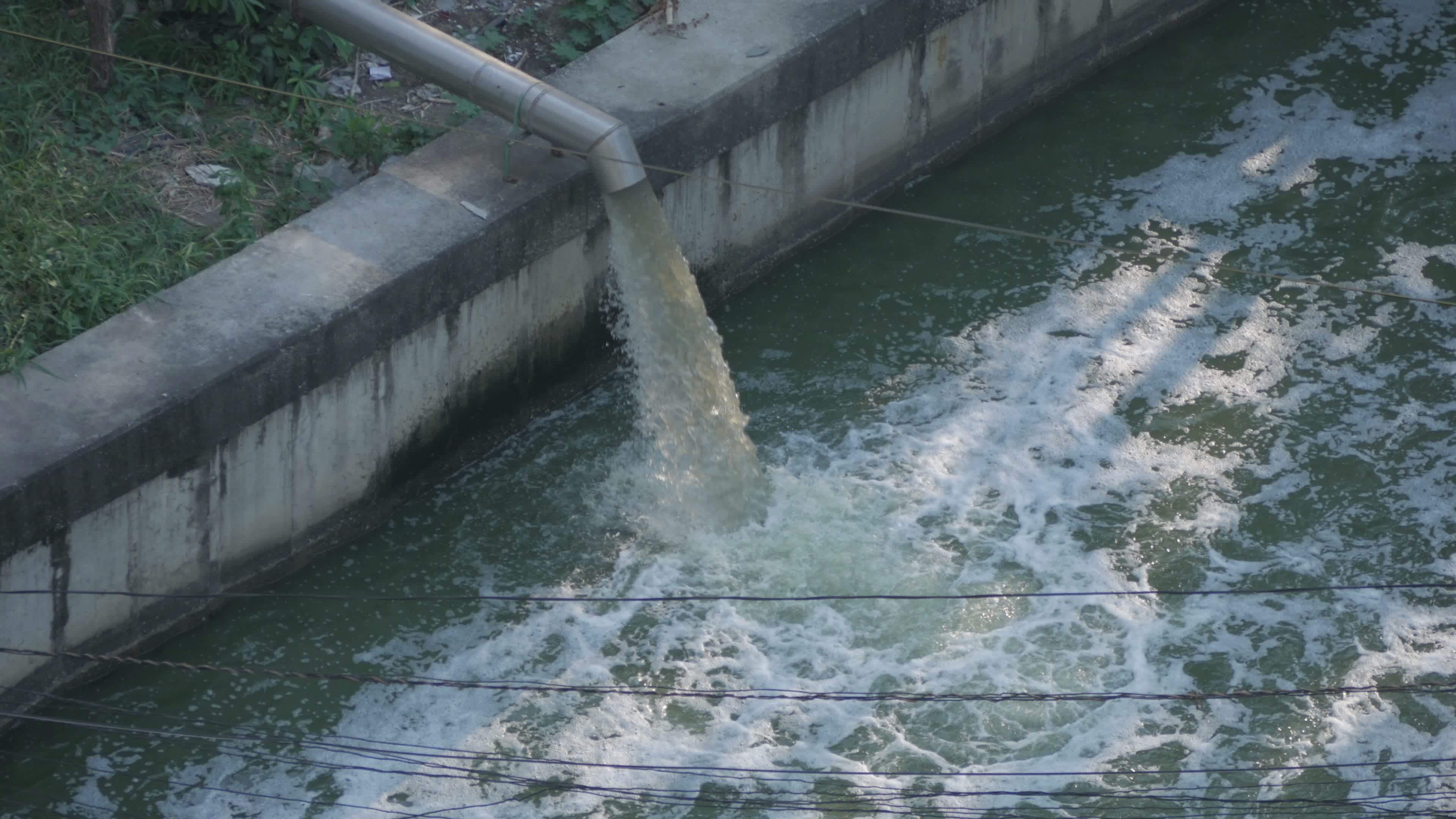 1700615634338699.jpg 1-210Q3152A0A6.jpg