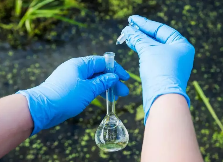 1703135925689502.png 202203241518304810.png