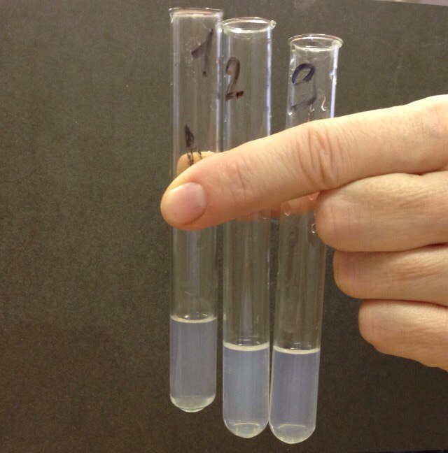 1706159798448986.jpg 202012181528071814.jpg