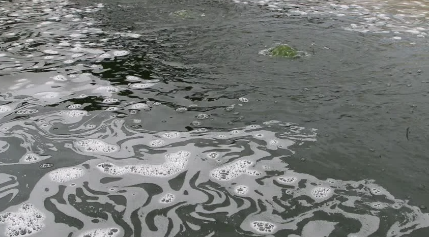 1710896483832714.png 202204201404440089.png