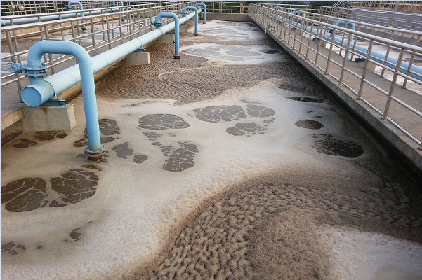 1713581220850370.png 1-1ZH5100635W9.png