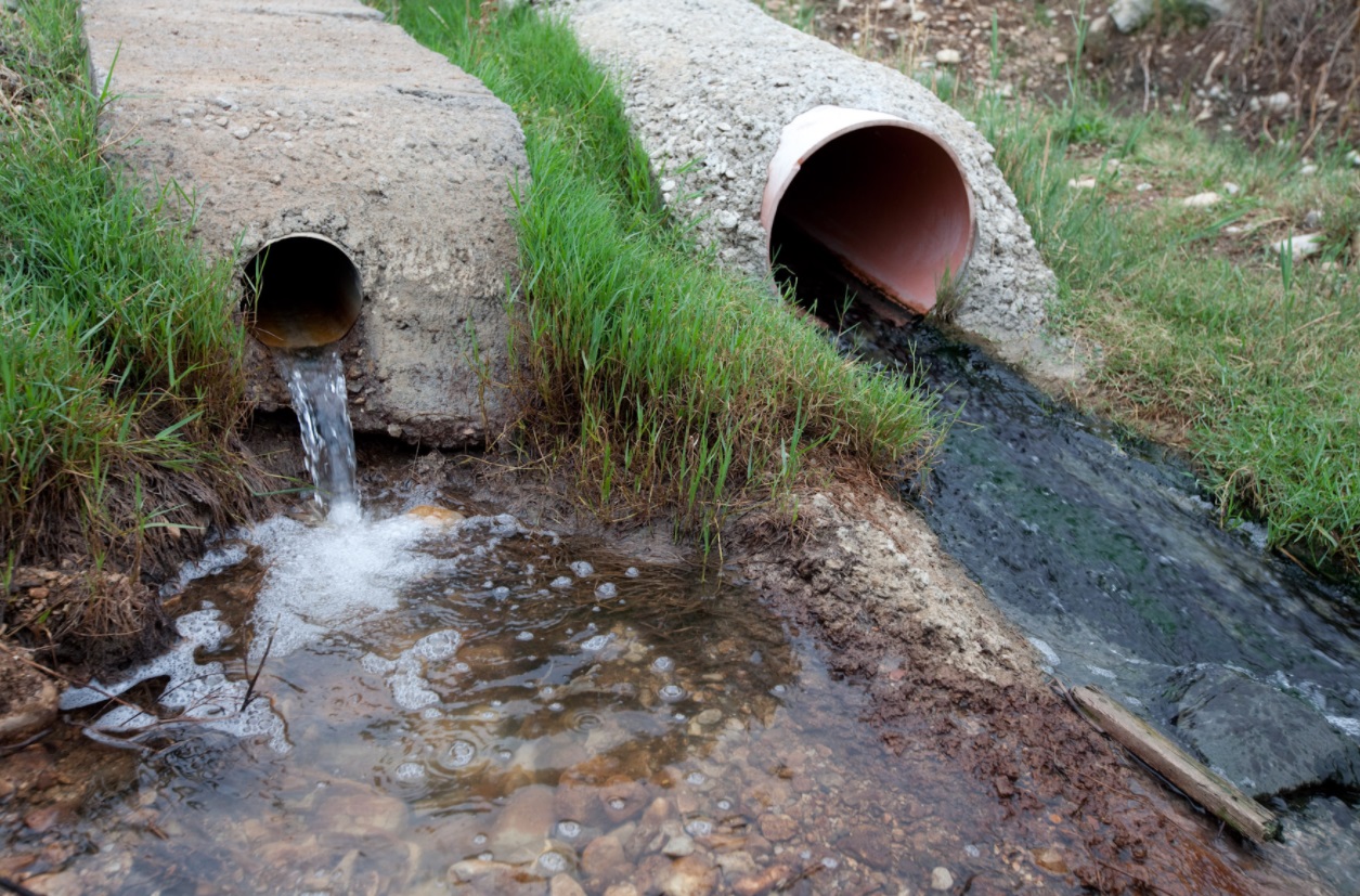 1719625760755718.jpg 202110251625210052.jpg