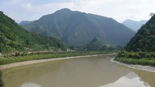 1721610943691185.jpg 1-1ZP51005142Z.jpg