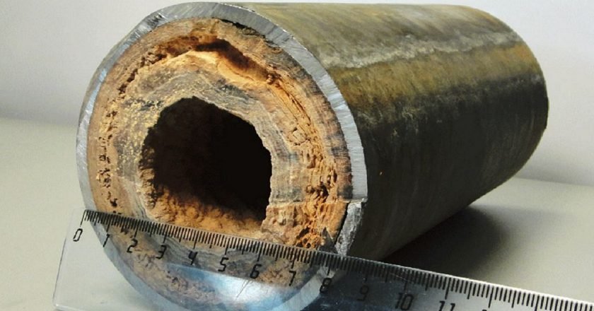 1724720902722162.jpg 202101271151276759.jpg