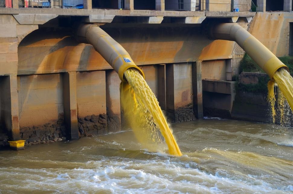 1731289023214308.jpg 202410281459598091.jpg